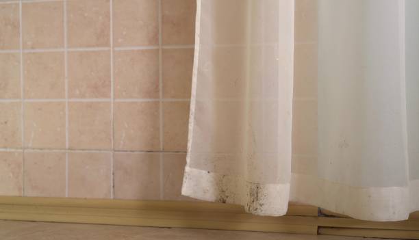 Best Mold Prevention Services  in Mexico Beach, FL