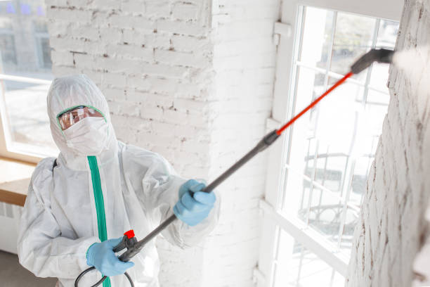 Best Crawl Space Mold Remediation  in Mexico Beach, FL