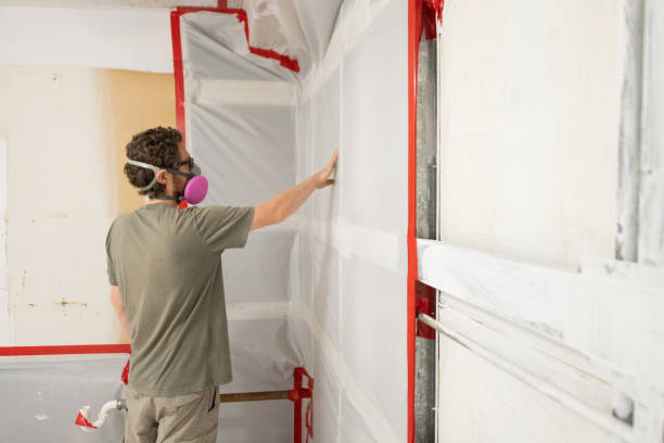 Best Environmental Consulting for Mold Prevention  in Mexico Beach, FL