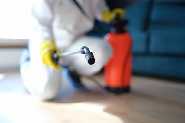 Best Forensic Mold Investigation  in Mexico Beach, FL