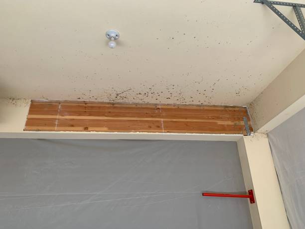 Best Indoor Air Quality Assessment  in Mexico Beach, FL
