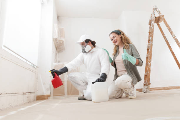Reliable Mexico Beach, FL Mold Removal Solutions