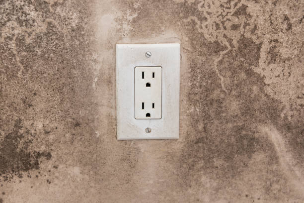 Best Post-Construction Mold Inspection  in Mexico Beach, FL