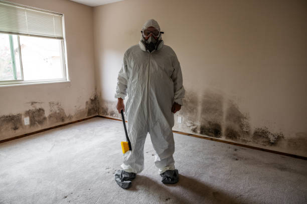 Best HVAC Mold Inspection and Cleaning  in Mexico Beach, FL