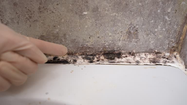 Best Residential Mold Inspection & Testing  in Mexico Beach, FL