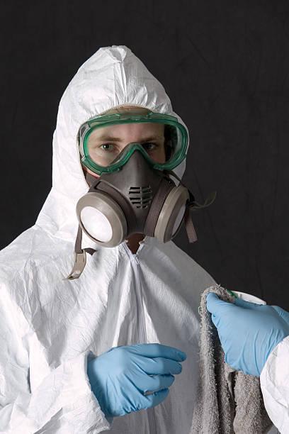 Best Black Mold Removal  in Mexico Beach, FL